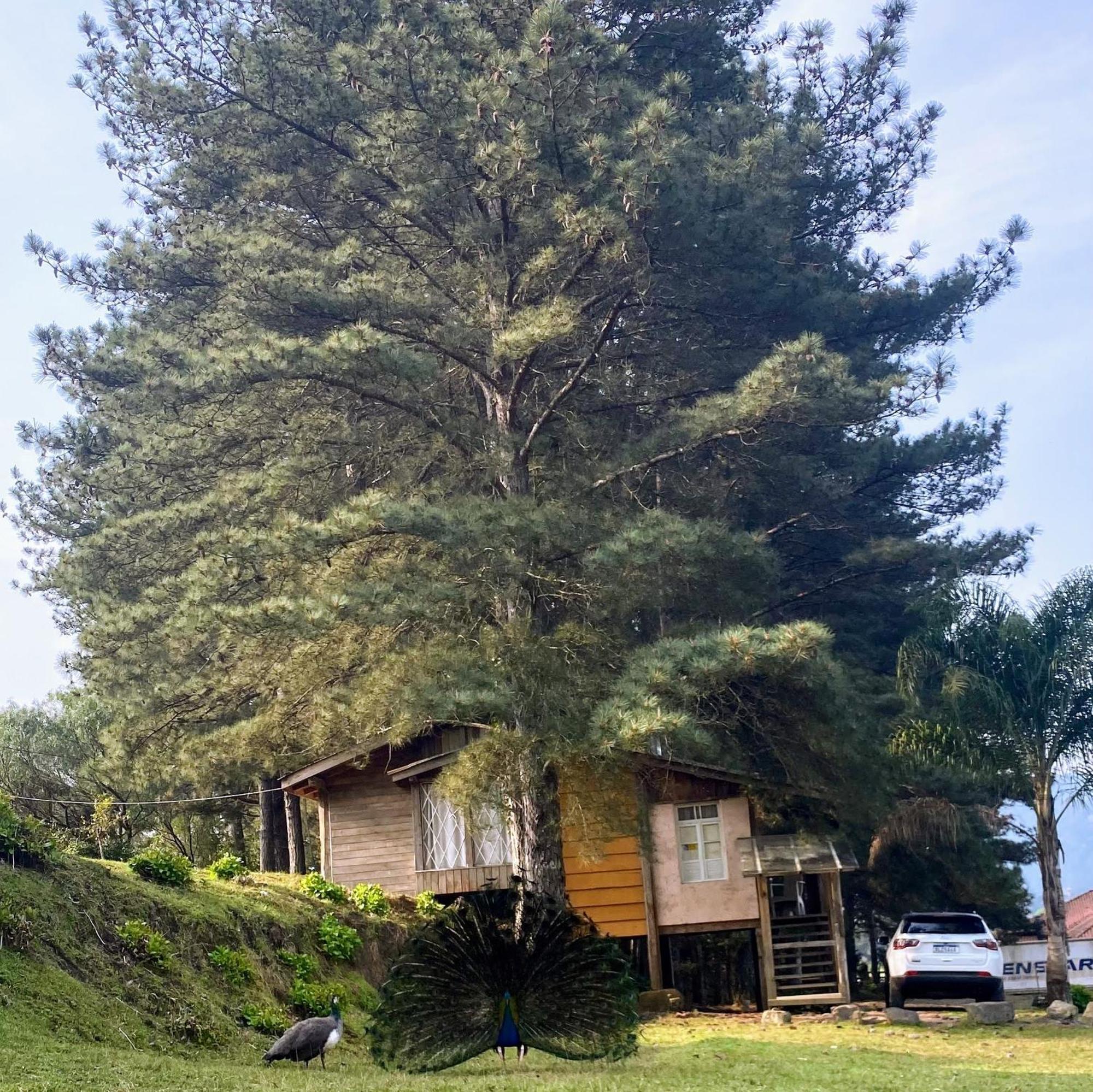 Estalagem Santo Antonio Inn